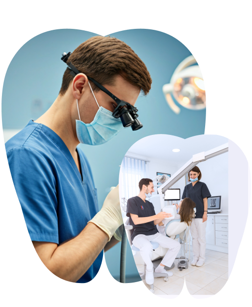 Dual tooth model showcasing dental care at Zoe Smiles Clinic